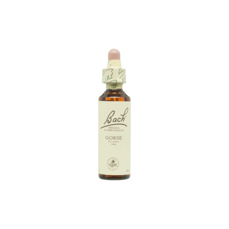 Flor nº 13 Aulaga (gorse) 20ml Bach