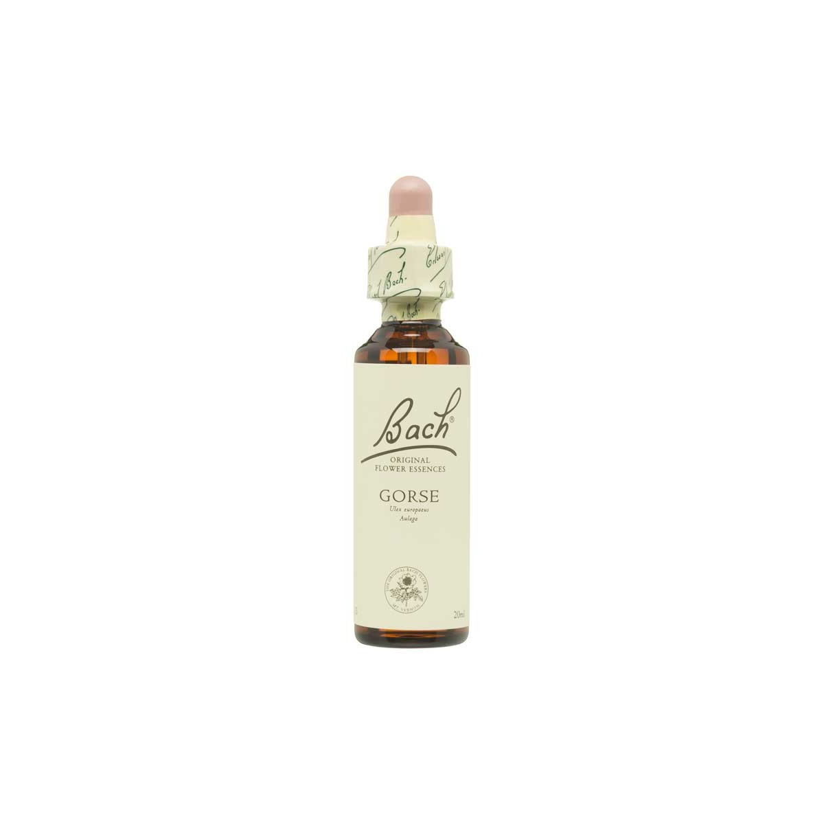 Flor nº 13 Aulaga (gorse) 20ml Bach