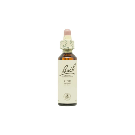 Flor nº 24 Pino silvestre (pine) 20ml Bach