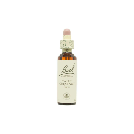 Flor nº 30 Castaño dulce (sweet chestnut) 20ml Bach