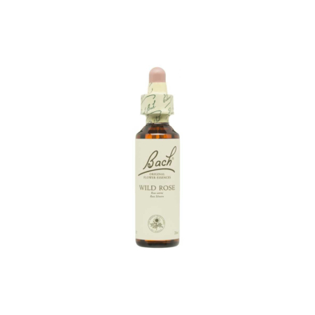 Flor nº 37 Rosa silvestre (wild rose) 20ml Bach