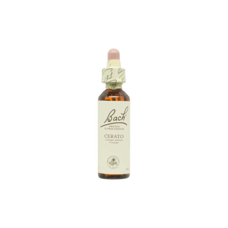 Flor nº 5 Ceratostigma (cerato) 20ml Bach