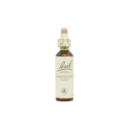 Flor nº 7 Brote de castaño (chestnut bud) 20ml Bach