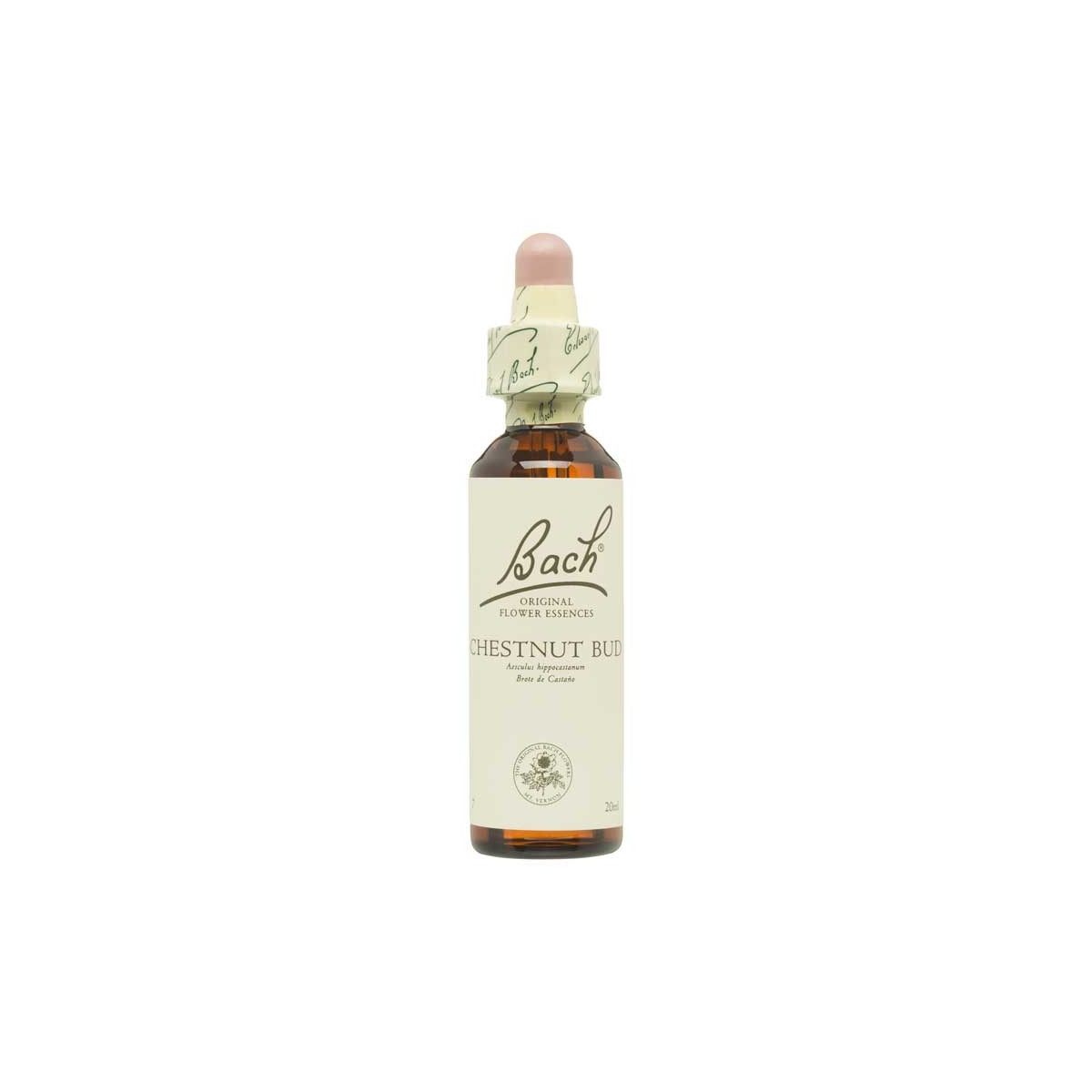 Flor nº 7 Brote de castaño (chestnut bud) 20ml Bach